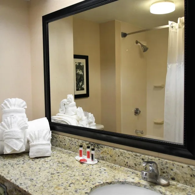 جناح بسرير كينج وسرير كوين، Ramada By Wyndham Pigeon Forge North 6/6