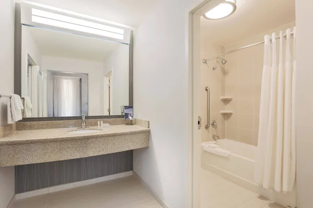 1 Bedroom, Suite, King Bed, Courtyard View, Sofa, Courtyard by Marriott Pittsburgh Downtown 2/2