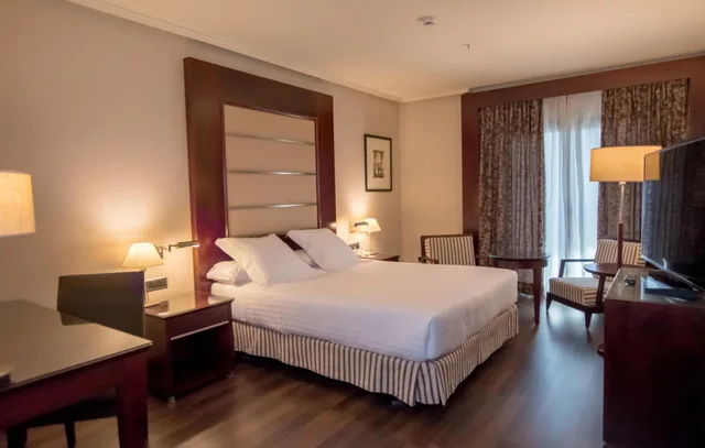 Deluxe, Queen Bed, City View, Sevilla Center 1/1