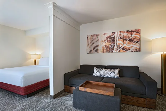 جناح بسرير كينج مع سرير سحّاب إضافي، Springhill Suites By Marriott Dfw Airport East Las Colinas 2/3