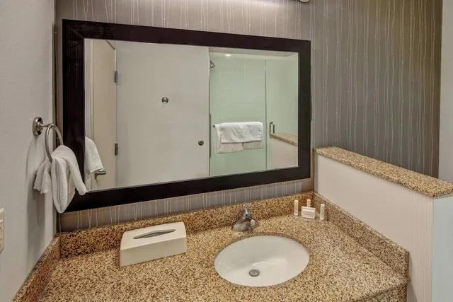 غرفة بسرير كينج مع أريكة لذوي الإعاقة، Courtyard by Marriott Troy 2/4