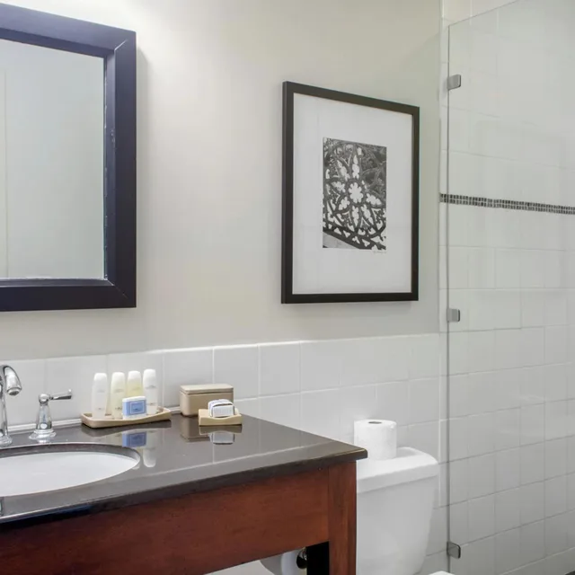 Hospitality, Loft, Suite, King Bed، The Riverfront Hotel New Orleans 5/5
