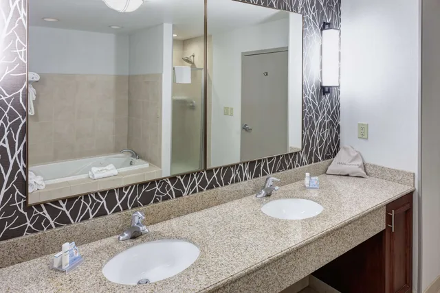 Evolution, Junior Suite, King Bed, Sofa، Hilton Garden Inn Nashville-Vanderbilt 2/3