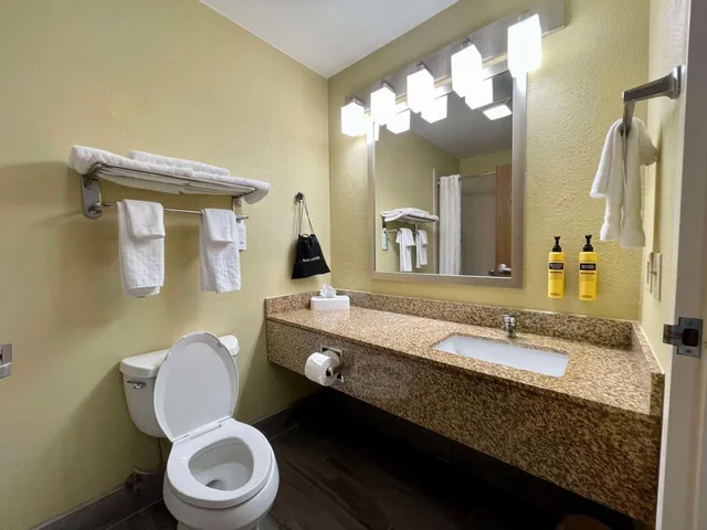 غرفة ديلوكس بسرير كينج، Best Western Plus Executive Hotel Suites 6/7