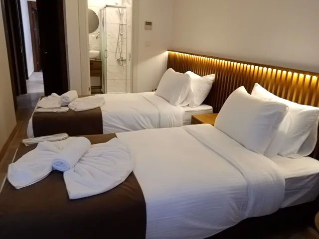 غرفة قياسية بسريرين منفصلين وسرير كوين، Castillo Rojo Hotel Istanbul 3/10