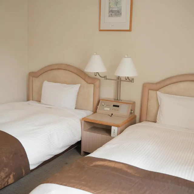 غرفة بسريرين منفصلين، Takarazuka Washington Hotel 1/4
