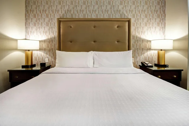 استوديو بسرير كينج، Homewood Suites By Hilton Dallas Arlington South Tx 4/6