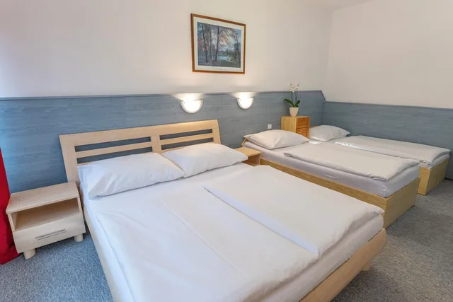 Standard, Quadruple, Double and Twin Beds, Sport Resort Hotel Gejzirpark 1/6