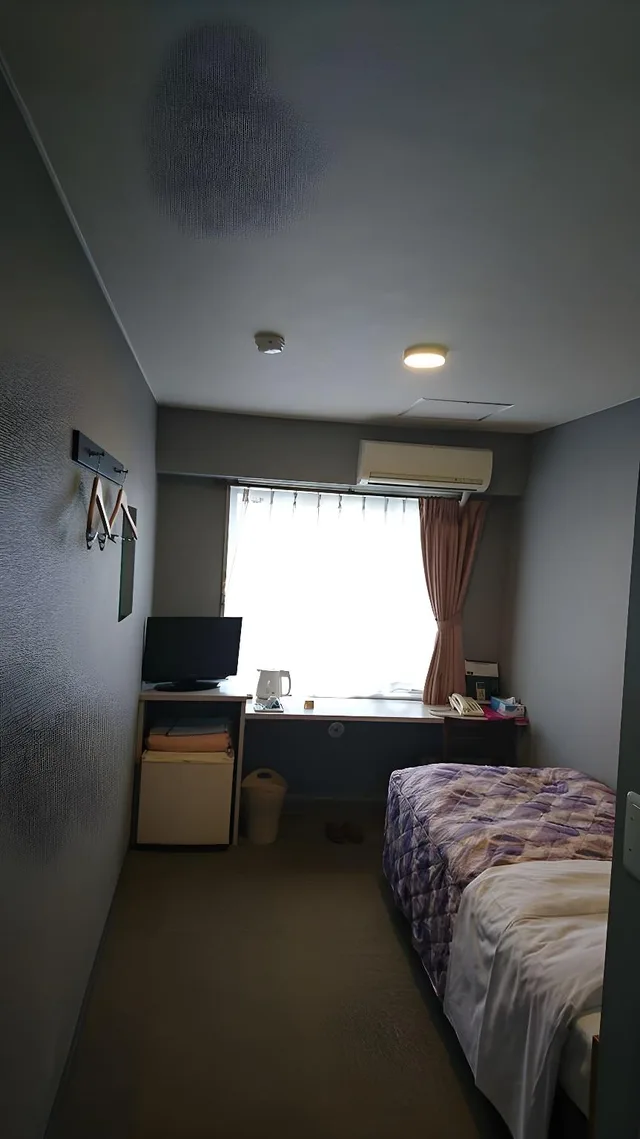 غرفة مفردة، Fancy Business Hotel 1/1