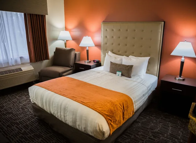 غرفة قياسية بسرير كينج يُسمح فيها بالحيوانات الأليفة، Best Western Northwest Lodge 2/10
