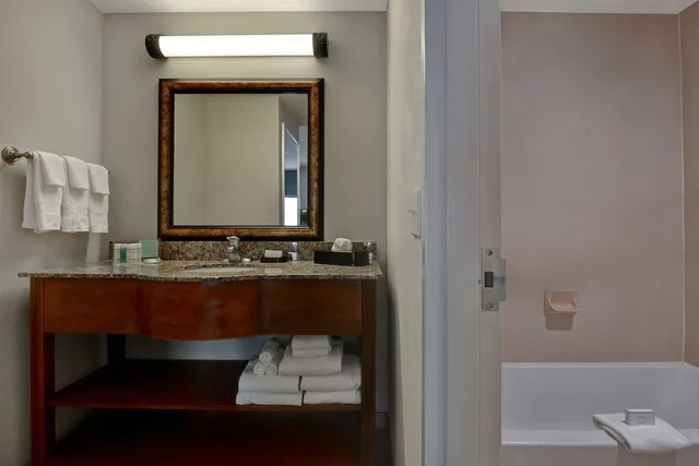 جناح بسرير كينج، Hampton Inn And Suites Birmingham Hoover Galleria 1/1