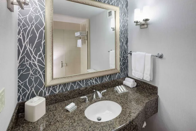 جناح ديلوكس بسرير كينج، Hilton Garden Inn Detroit Novi 1/2
