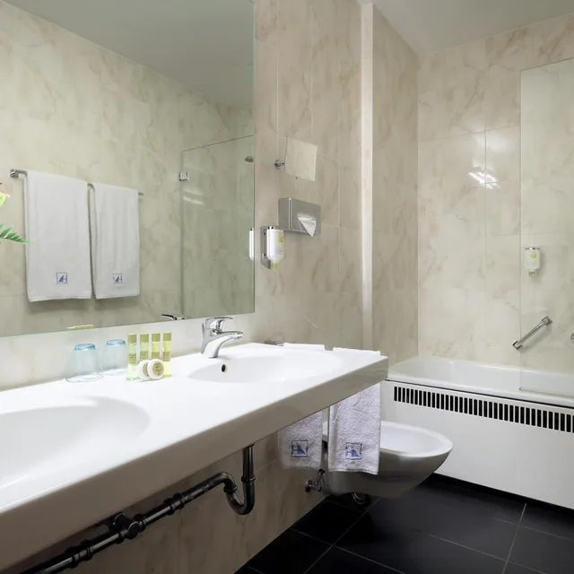 غرفة مفردة، Eurostars Park Maximilian 7/9