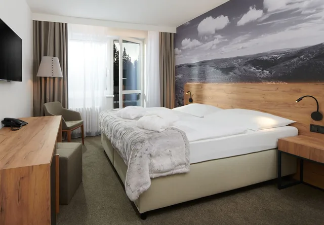 غرفة سوبيريور بسرير بطابقين وسرير كوين بشرفة، Wellness Hotel Svornost 1/2