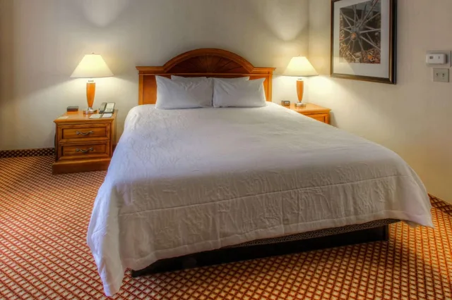 جناح ديلوكس بسرير كينج مع أريكة، Hilton Garden Inn Williamsburg 2/5