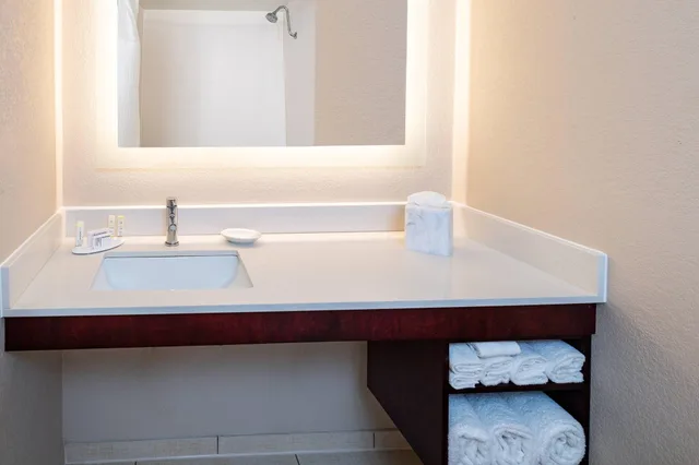 جناح بسرير كينج، Springhill Suites Houston Medical Center Nrg Park 2/3