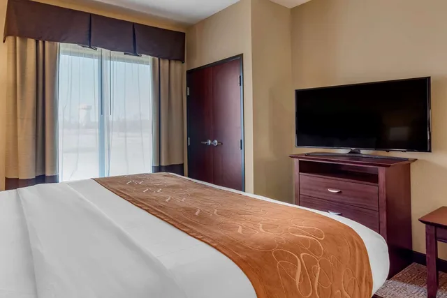 جناح بسرير كينج، Comfort Suites Montgomery South 1/1