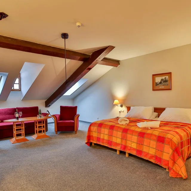 جناح جونيور بسرير فردي، Hotel Dvorak Tabor 2/10