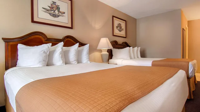 جناح بمطبخ صغير، Best Western Forest Inn 3/7