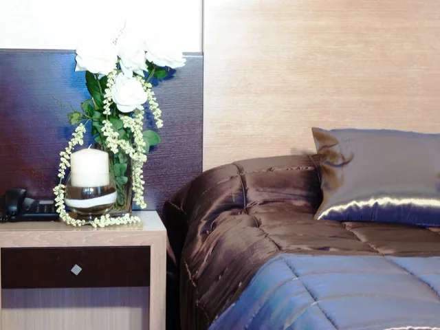 غرفة ديلوكس بسرير كينج، Hotel Euro House Suites 8/10