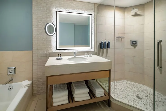 غرفة ديلوكس بسرير كينج بإطلالة مع أريكة، The Westin Tampa Bay 5/6