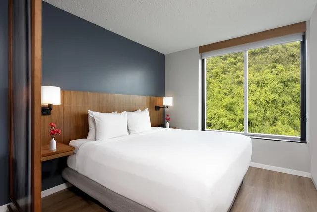 غرفة قياسية بسرير كينج، Hyatt Place Bayamon 1/10