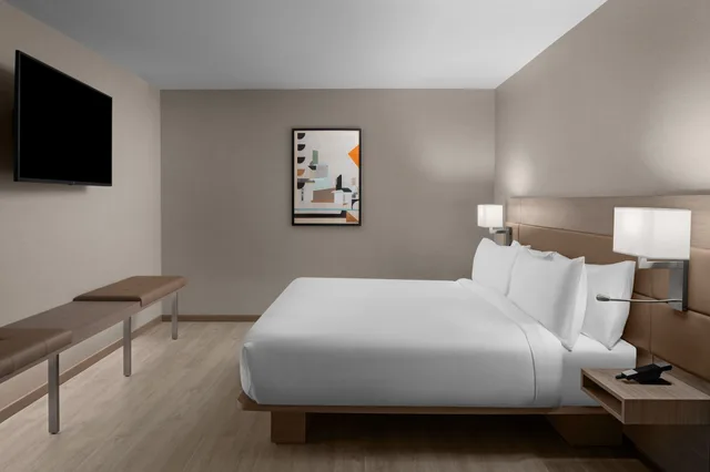 جناح بسرير كينج بغرفة نوم واحدة مع أريكة، AC Hotel by Marriott Lansing University Area 1/4