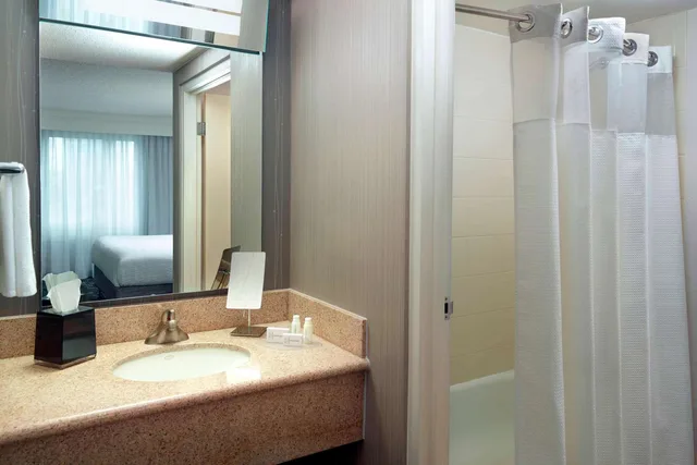 جناح بسرير كينج بغرفة نوم واحدة مع أريكة، Sonesta Select Atlanta Midtown Georgia Tech 5/5