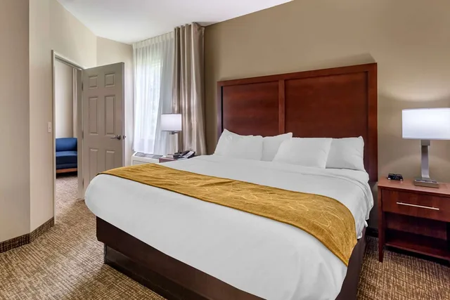Upgrade, Suite, Queen Bed, Accessible، Comfort Suites Clarksville near Governors Square Mall 1/1