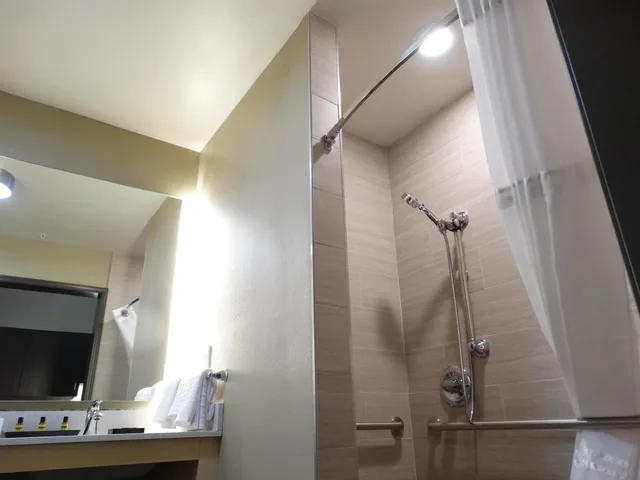 غرفة قياسية بسرير كينج لذوي الإعاقة، Best Western Plus Executive Residency Fillmore Inn 5/8