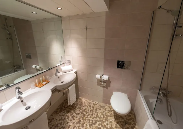 غرفة كومفورت بسريرين منفصلين، Kyriad Prestige Mulhouse Basel 6/9