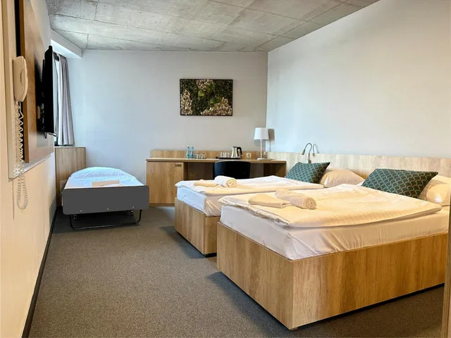 غرفة قياسية ثلاثية، Hotel D1 2/4
