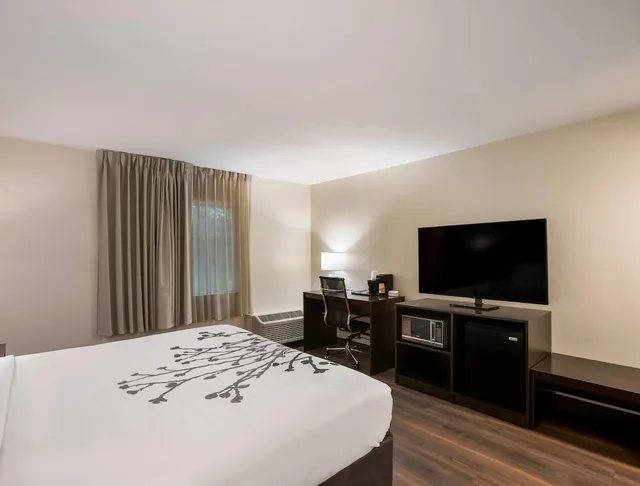 غرفة بسرير كينج لذوي الإعاقة، Sleep Inn Savannah Midtown 4/4