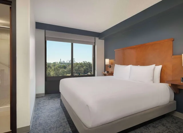 غرفة بسرير كينج لذوي الإعاقة، Hyatt Place Lakeland Center 1/7