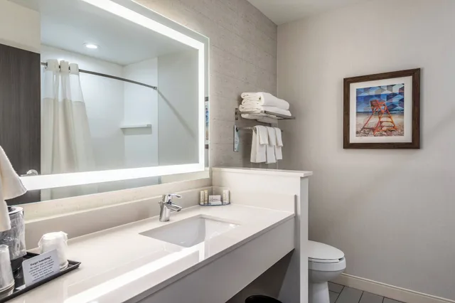 غرفة بسرير كينج لذوي الإعاقة، Fairfield Inn Suites By Marriott St Joseph Stevensville 7/9