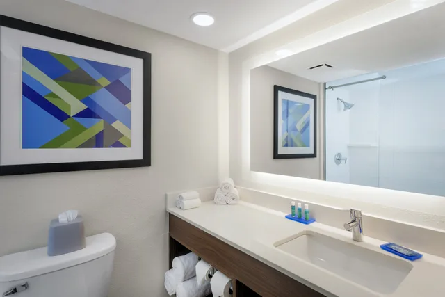 غرفة بسرير كينج، Holiday Inn Express Exton - Great Valley 6/7