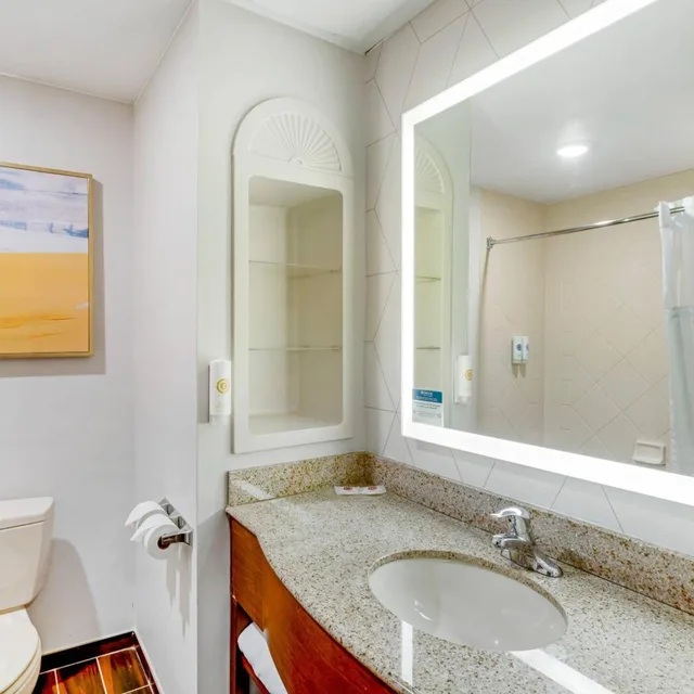 1 Bedroom, Efficiency, Suite, Sofa، Comfort Suites East Brunswick - South River 6/7