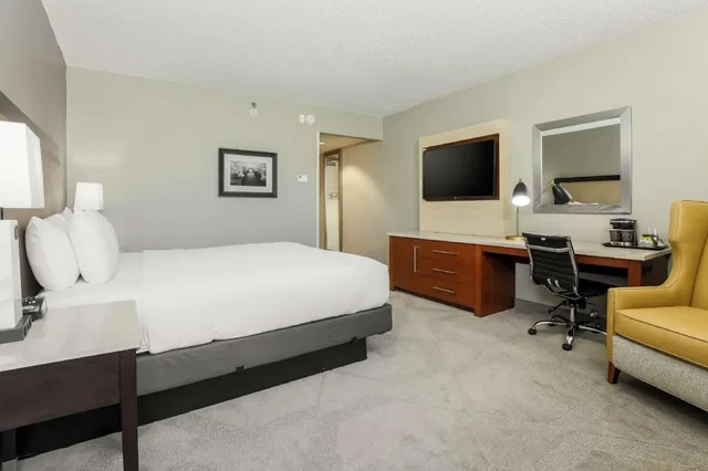 غرفة بسرير كينج بإطلالة على المعالم لذوي الإعاقة، Doubletree By Hilton Austin University Area 2/4