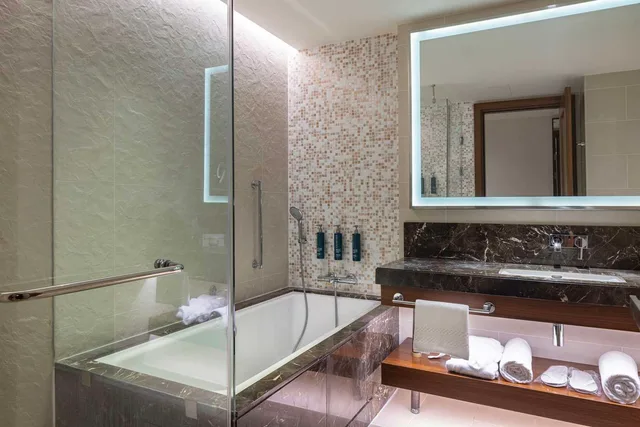 غرفة تنفيذية بسرير كينج مع دخول الصالة، Hilton Batumi 3/6