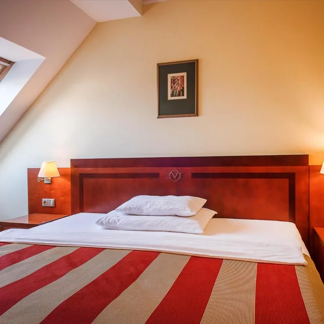 Room, Single, Hotel Villa 1/6