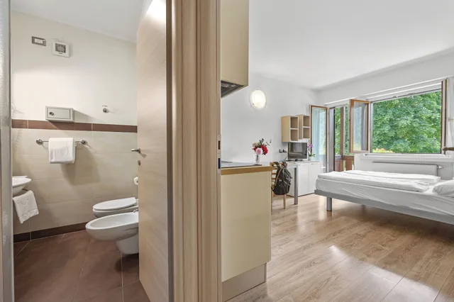 Panoramic, Studio, Double Bed, Valley View, Balcony، Residence Lagorai 6/7