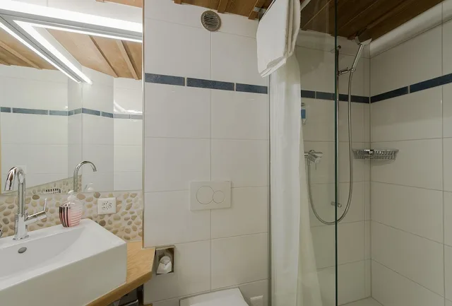 غرفة قياسية مفردة، Hotel Alpenblick 6/6