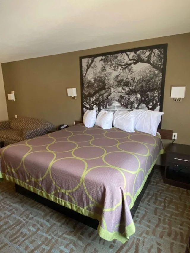 Room, King Bed, Surestay Hotel By Best Western Alexandria Airport 1/4