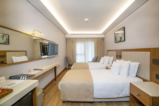 غرفة قياسية بسرير مزدوج أو سريرين منفصلين، Erboy Hotel Istanbul 7/10