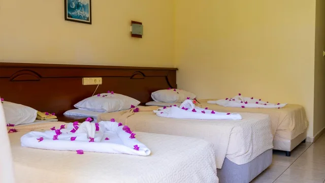 غرفة قياسية بسرير مزدوج، Imeros Hotel 6/9