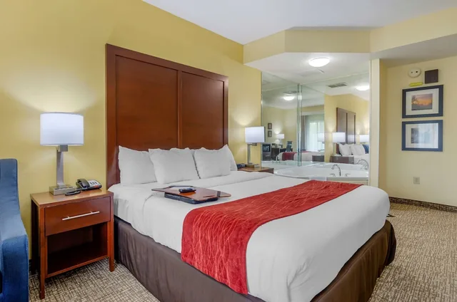 جناح بسرير كينج لذوي الإعاقة، Comfort Inn and Suites Hillsville I-77 4/6