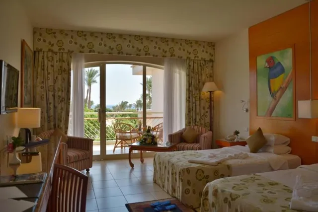 Club, Triple, Parrotel Beach Resort 1/1