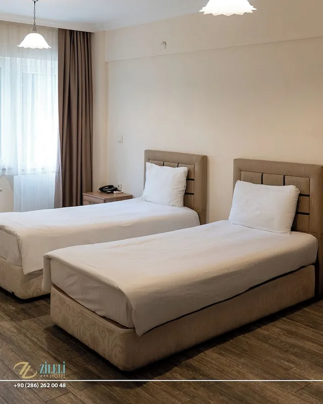 غرفة قياسية بسريرين كينج بغرفة نوم واحدة، Hotel Zileli 1/10