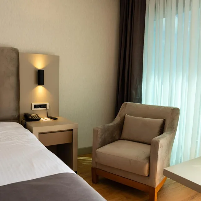 غرفة ديلوكس بسرير مزدوج أو سريرين منفصلين، VOLLEY HOTEL ISTANBUL 8/10
