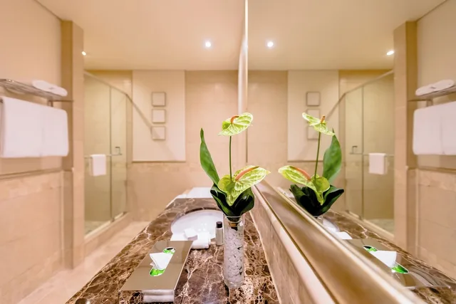 Junior Suite, Studio, King Bed، Southern Sun Sandton 4/4